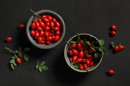 Bowls with fresh rose hip berries on black backgroundの写真素材