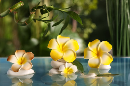 Lake with spa stones and beautiful plumeria flowers in tropical bamboo gardenの写真素材