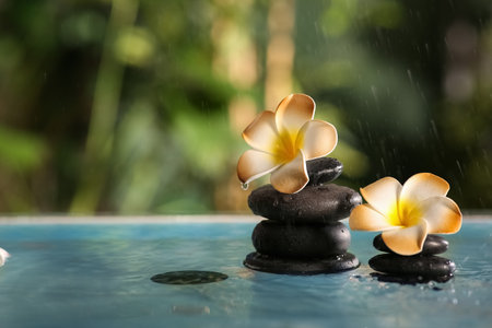 Lake with beautiful plumeria flowers in tropical bamboo gardenの写真素材