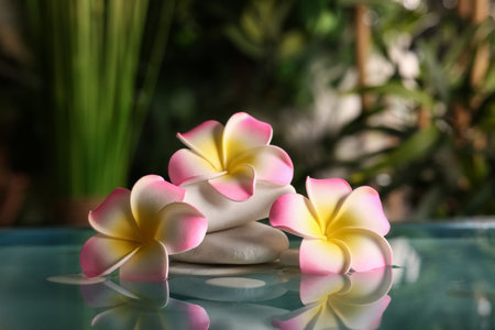 Lake with beautiful plumeria flowers in tropical bamboo gardenの写真素材
