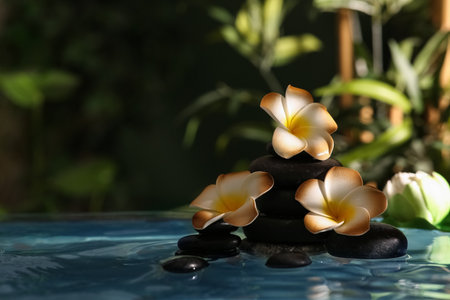 Lake with spa stones and beautiful plumeria flowers in tropical bamboo gardenの写真素材