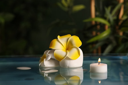 Lake with spa stones, candle and beautiful plumeria flowers in tropical bamboo gardenの写真素材