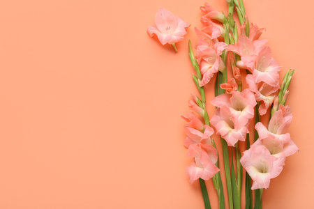 Beautiful gladiolus flowers on orange backgroundの写真素材