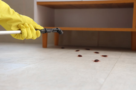 Female pest control specialist's hand carrying out cockroach disinfection in room, closeupの写真素材