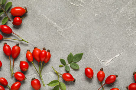 Fresh rose hip berries and leaves on gray backgroundの写真素材