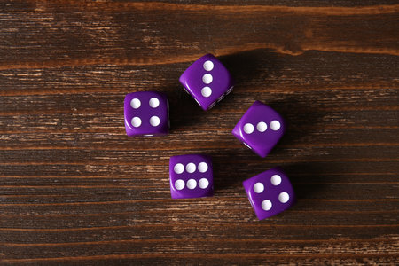 Purple game dices on wooden backgroundの写真素材