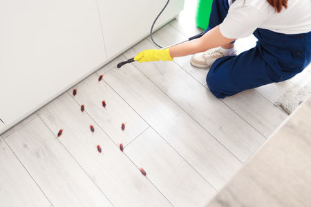 Female pest control specialist carrying out cockroach disinfection in kitchen, top viewの写真素材