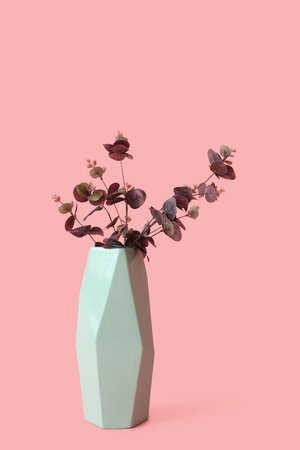 Vase with eucalyptus branches on pink background