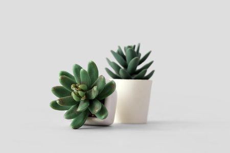 Artificial plants on light background, closeupの写真素材