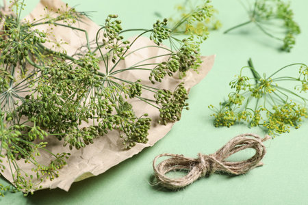 Bunch of fresh dill on green background, closeupの写真素材
