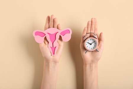 Female hands with paper uterus and alarm clock on beige background. Gynecology conceptの写真素材