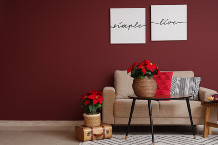 Interior of stylish living room with Christmas plant poinsettia, sofa and tableの写真素材