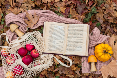 Book with scarf and apples on leaves in autumn parkの写真素材