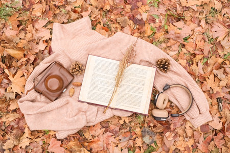 Book with dried flowers, fir cones, headphones and sweater in autumn park, top view