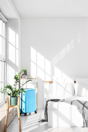 Interior of hotel room with bed, suitcase and plantの写真素材