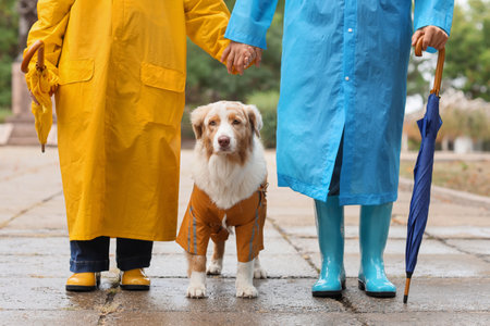 Cute dog and couple in raincoats with umbrellas on rainy dayの写真素材