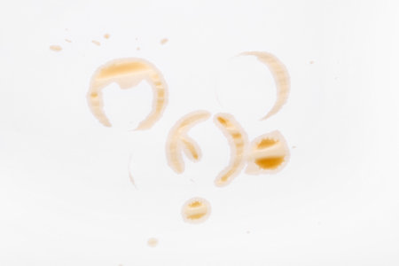 Coffee cup rings on white backgroundの写真素材