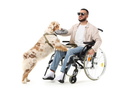 Young man in wheelchair and guide dog on white backgroundの写真素材