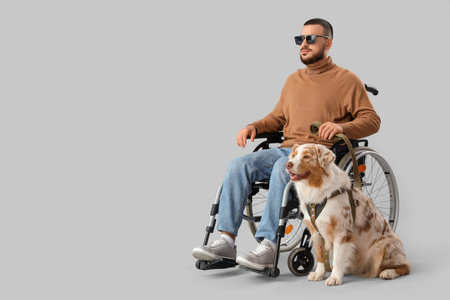 Blind young man in wheelchair with guide dog on gray background