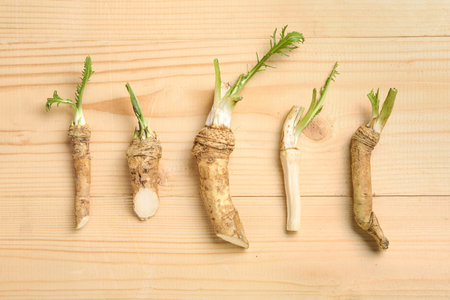 Row of horseradish roots on wooden backgroundの写真素材
