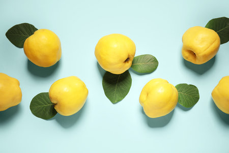 Sweet ripe quinces and leaves on blue backgroundの写真素材