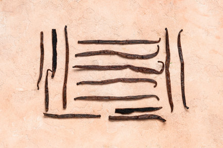 Gourmet vanilla pods on beige background