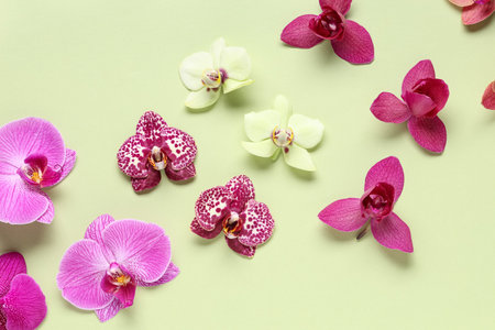 Wellness and spa relaxation, fresh orchid flowers on a soft green background for beauty and skincare branding, floral pattern for natural cosmetics