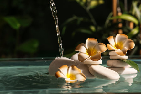 Lake with spa stones and beautiful plumeria flowers in tropical bamboo garden