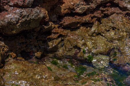 Ostuni, Brindisi, Puglia. Rosa Marina. Fantastic view of the clear waters of the Adriatic Sea.の写真素材