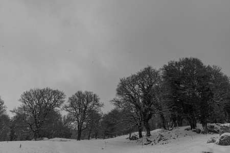 Molise, Italy. Spectacular winter panorama.の写真素材