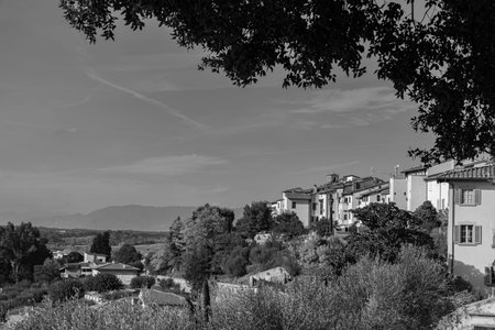 Fucecchio is an Italian town of 23,076 inhabitants in the metropolitan city of Florence in Tuscany,...