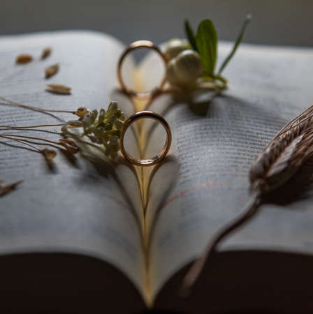 Wedding composition with wedding ringsの写真素材