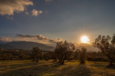 Molise is an Italian region with a stretch of coast overlooking the Adriatic Sea. It includes a part of the Abruzzo National Park in the Appennine mountain range, with a rich wildlife and trails.の写真素材