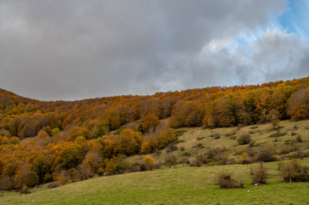 The Mainarde mountain range extends along the border between Molise and Lazio, with prevalence in the Molise territory. It is a very rocky natural barrier with a rugged aspectの写真素材