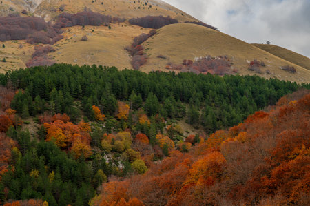 Abruzzo is an Italian region located east of Rome, between the Adriatic and the Apennines. The hinterland is mostly made up of national parks and nature reserves.の写真素材