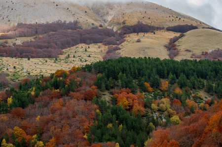 Abruzzo is an Italian region located east of Rome, between the Adriatic and the Apennines. The hinterland is mostly made up of national parks and nature reserves.の写真素材