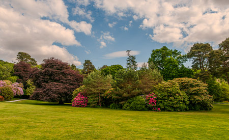 Ireland, The Muckross House in Killarney, County Kerry. Designed by William Burn and built in 1843. Viewの写真素材