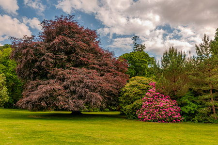 Ireland, The Muckross House in Killarney, County Kerry. Designed by William Burn and built in 1843. Viewの写真素材
