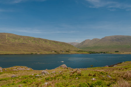 Protected natural area of western Ireland characterized by suggestive mountains (mountain range of the Twelve Peaks), expansions of peat bogs, prairies and woods.の写真素材