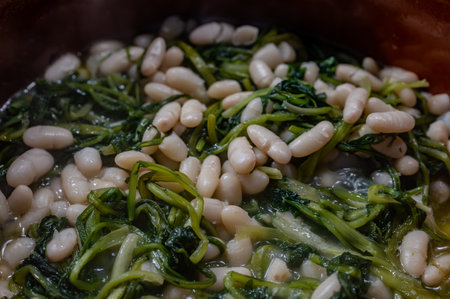 Bean and chicory soup. A traditional Italian dish that is poor but rich in flavor, a peasant dish with great taste.の写真素材