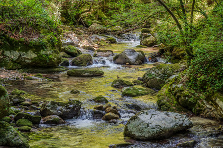 Over millions of years, the Orfento River (in the municipality of Caramanico Terme) has carved out a narrow gorge now covered by dense riparian vegetation featuring willows, ferns, and mosses.の写真素材
