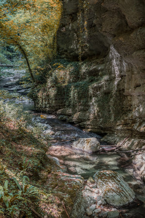 Over millions of years, the Orfento River (in the municipality of Caramanico Terme) has carved out a narrow gorge now covered by dense riparian vegetation featuring willows, ferns, and mosses.の写真素材