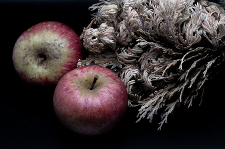 A composition of a typically autumnal fruit, such as the apples from Campania, which enhances its beauty and details.の写真素材