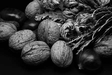 A composition of typically autumnal fruits such as chestnuts and walnuts, enhancing their beauty and detail.の写真素材