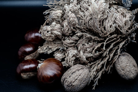 A composition of typically autumnal fruits such as chestnuts and walnuts, enhancing their beauty and detail.の写真素材