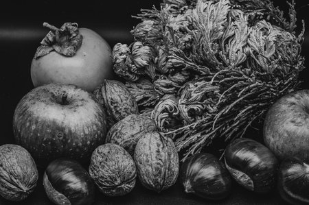 A composition of typically autumnal fruits such as chestnuts, walnuts, persimmons or the apple, enhancing their beauty and detail.の写真素材