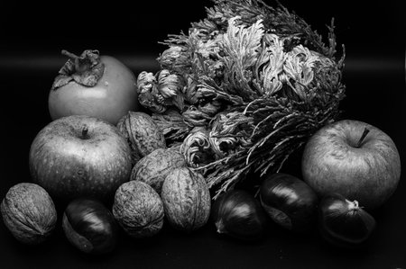 A composition of typically autumnal fruits such as chestnuts, walnuts, persimmons or the apple, enhancing their beauty and detail.の写真素材