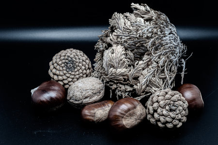 A composition of typically autumnal fruits such as chestnuts, walnuts, persimmons or the apple, enhancing their beauty and detail.の写真素材