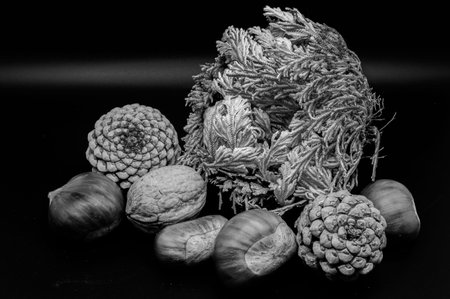 A composition of typically autumnal fruits such as chestnuts, walnuts, persimmons or the apple,...