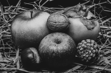 A composition of typically autumnal fruits such as chestnuts, walnuts, persimmons or the apple, enhancing their beauty and detail.の写真素材